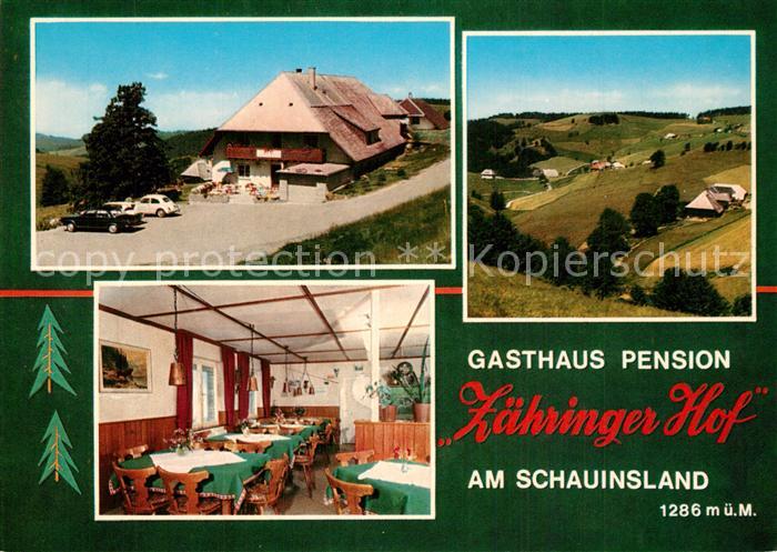 Muenstertal Schwarzwald Gasthaus Pension Zaehringer Hof Landschaftspanorama
