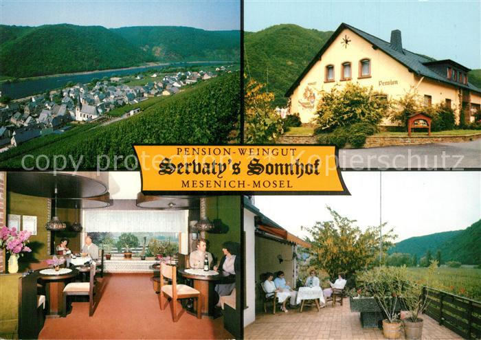 Mesenich Cochem Pension Weingut Sevaty's Sonnhof Landschaftspanorama Moseltal We