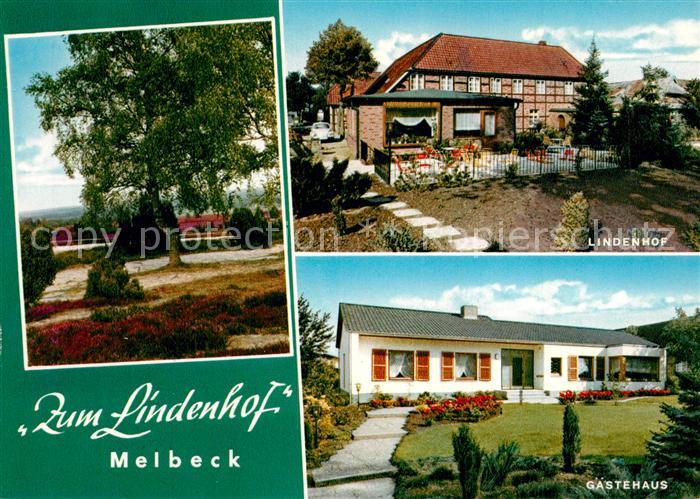 Melbeck Gasthaus Pension Zum Lindenhof Lueneburger Heide