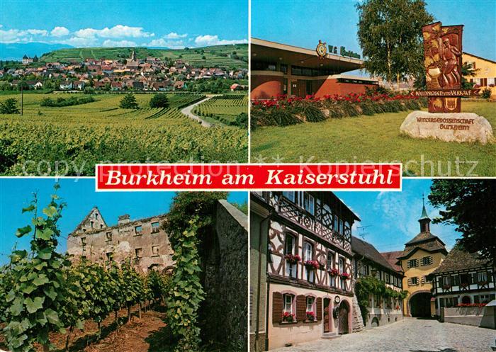 Burkheim Kaiserstuhl Panorama Weinberge Winzergenossenschaft Altstadt Fachwerkha