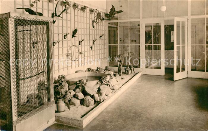 Klein Koeris Jugendherberge