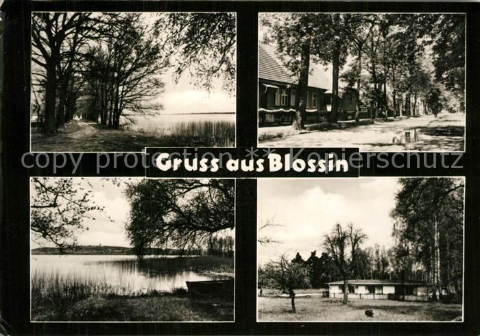 Blossin Partie am Wolziger See