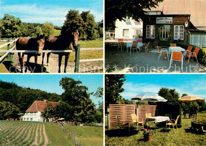 Boekensberg Gasthaus Pension Dittmann Garten Terrasse Pferdekoppel
