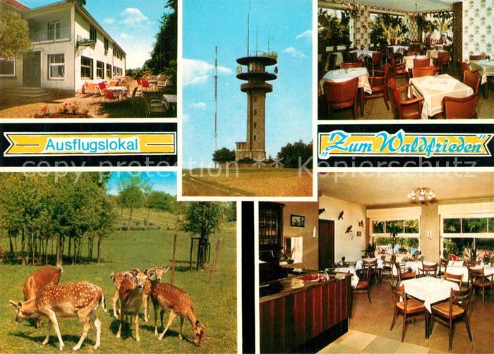 Havixbeck Ausflugslokal Zum Waldfrieden Restaurant Wildgehege Sender