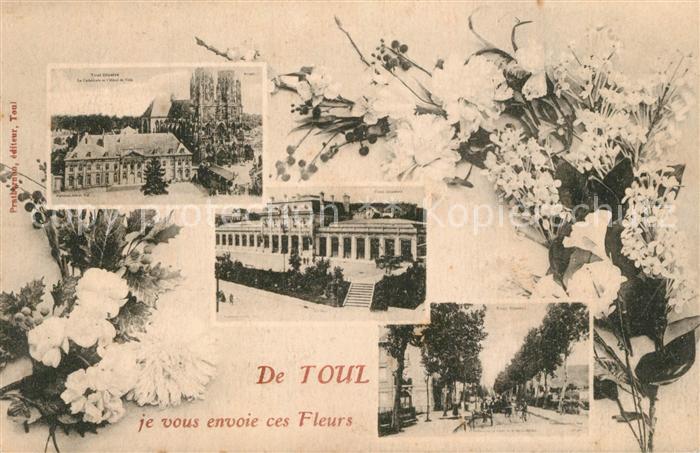 Toul 54 Vue partielle