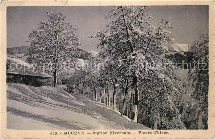 Megeve Station Hivernale Fleurs d hiver