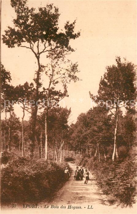 Yport Le Bois des Hogues