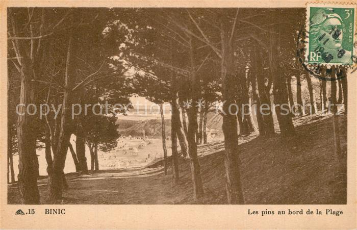 Binic Cotes d Armor Les pins au bord de la Plage