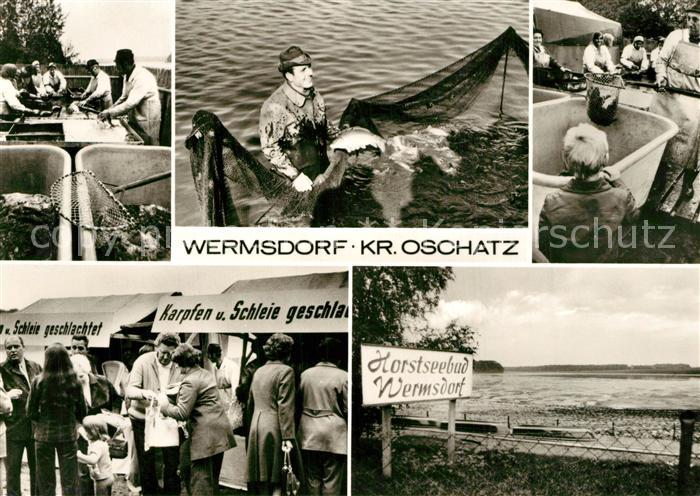 Wermsdorf Horstsee Fischer Details