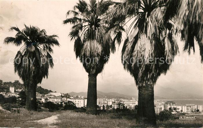 Ajaccio Vue des Jardins Bertaut