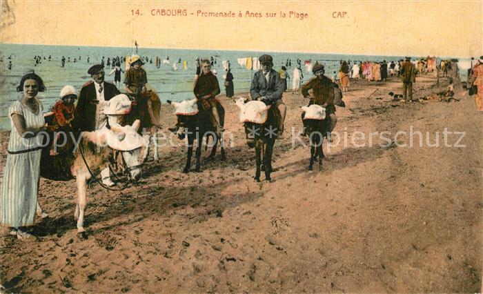 Cabourg Promenade a anes sur la plage