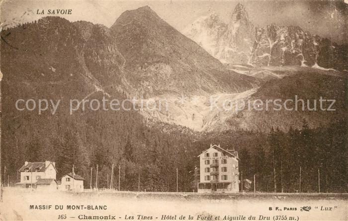 Chamonix Les Tines Hôtel de la Forêt Aiguille du Dru Alpes Francaises