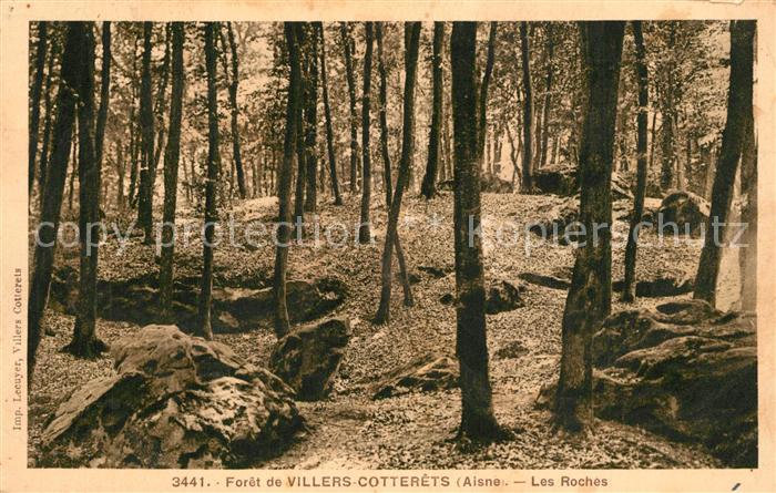 Foret de Villers-Cotterets Les Roches