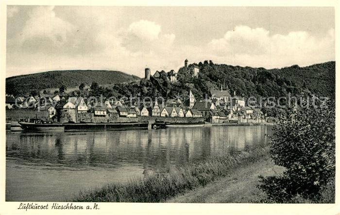 Hirschhorn Neckar Panorama
