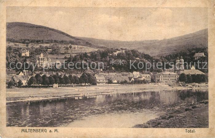 Miltenberg Main Panorama