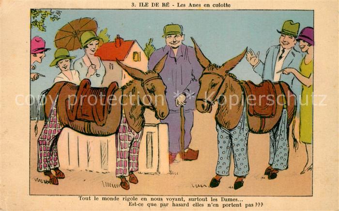 Ile de Re Les Anes en Culotte