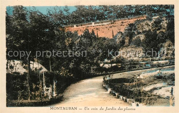 Montauban Tarn-et-Garonne Un coin du Jardin des plantes