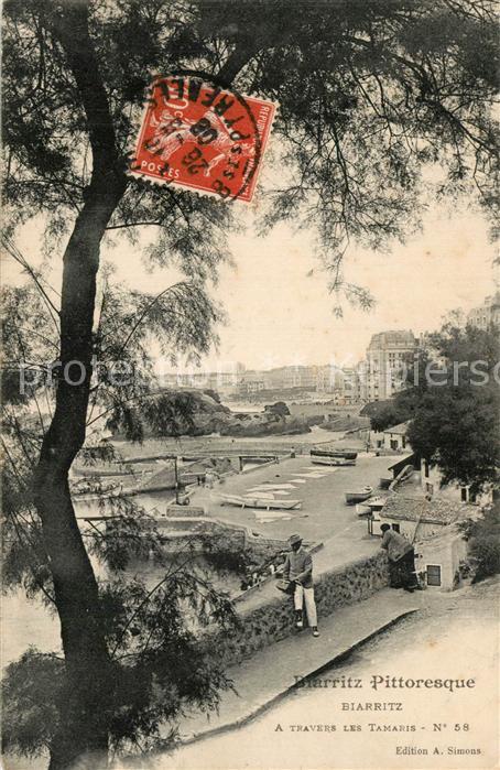 Biarritz Pyrenees Atlantiques Panorama