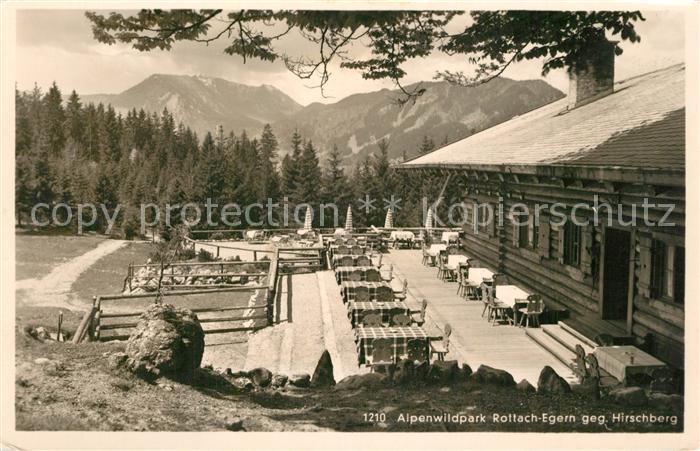 Rottach-Egern Alpenwildpark Hirschberg