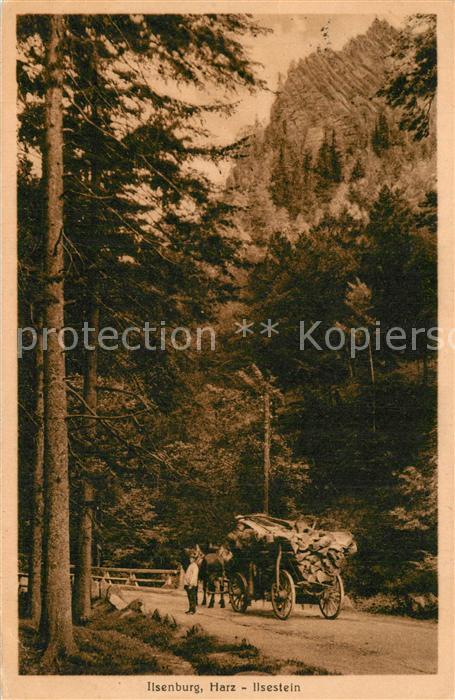 Ilsenburg Harz Ilsestein