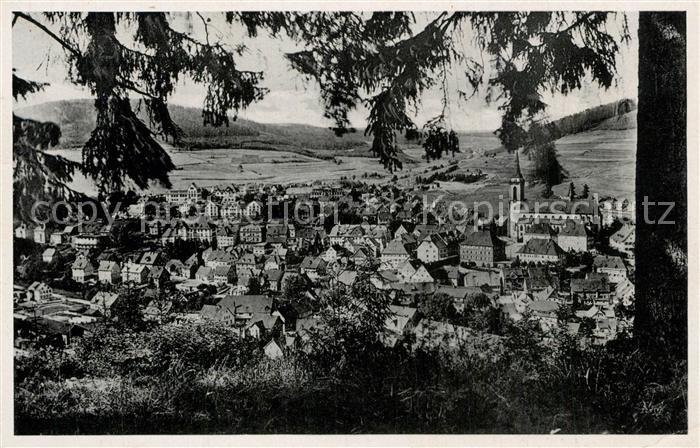 Neustadt Schwarzwald Panorama