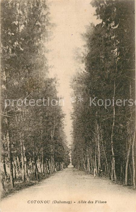Cotonou Allee des Filaos