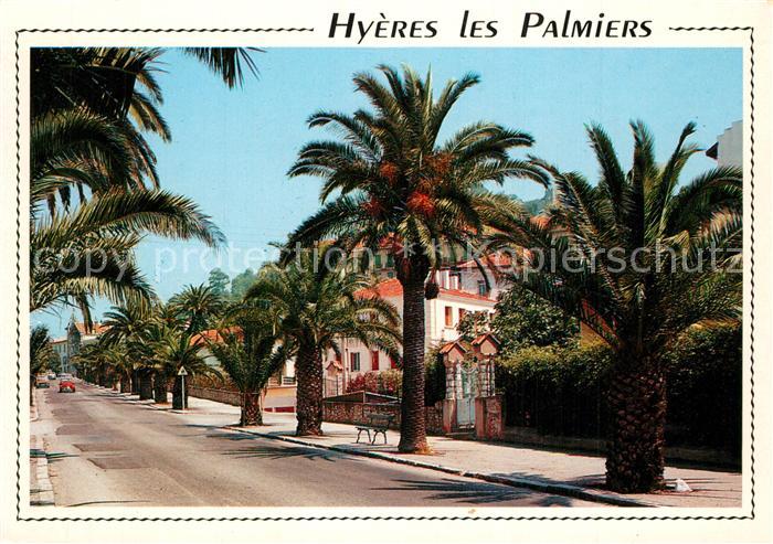 Hyeres les Palmiers Avenue Godillot
