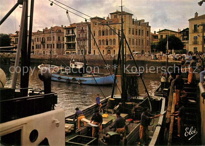 Saint-Jean-de-Luz Le Port dechargement du Thon sur le quai