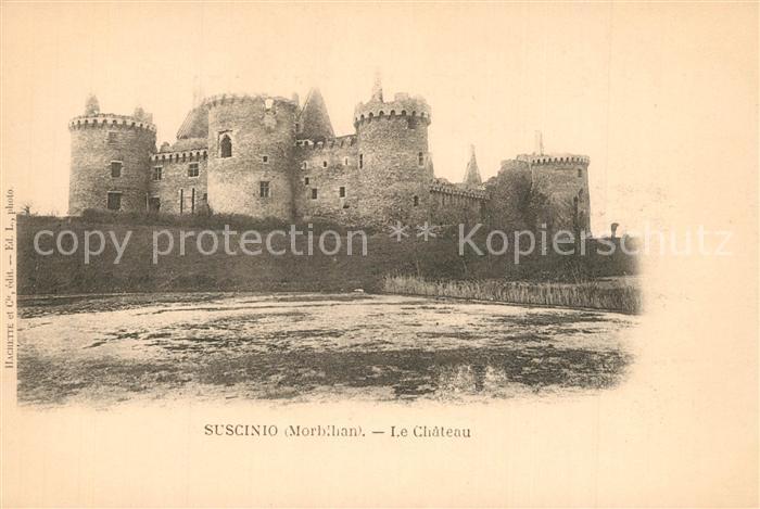 Sarzeau Chateau de Sucinio Schloss