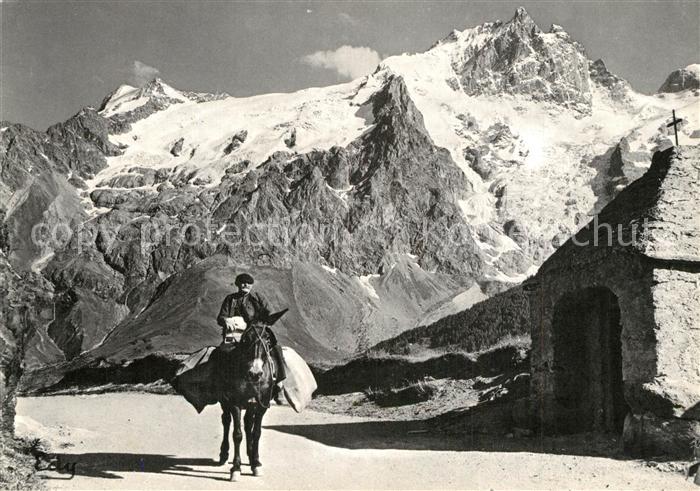 Chambery Savoie Sur le sentier passait un Montagnard et son Mulet Collection Ima