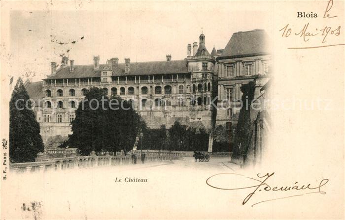 Blois 41 Chateau Schloss