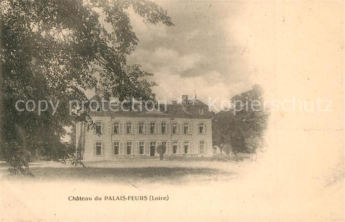 Feurs Chateau du Palais