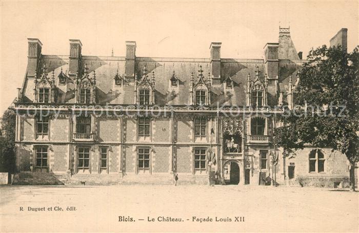 Blois 41 Chateau Facade Louis XII Schloss