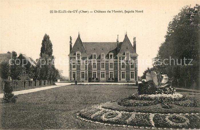 Saint Eloi de Gy Chateau de Montet Parc Schloss