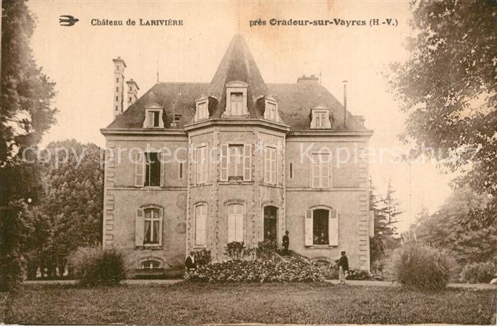 Oradour-sur-Vayres Chateau de Lariviere