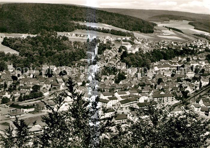Berleburg Bad Fliegeraufnahme mit Wittgensteiner Berg und Waldland