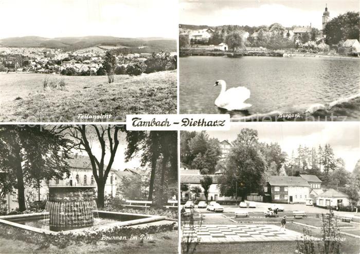 Tambach-Dietharz Panorama Kurpark Brunnen im Park Milchbar