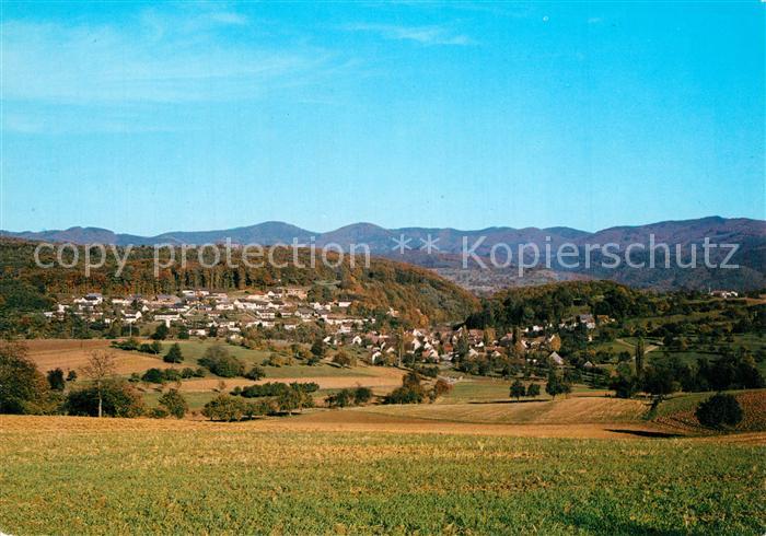 Riedlingen Donau Panorama