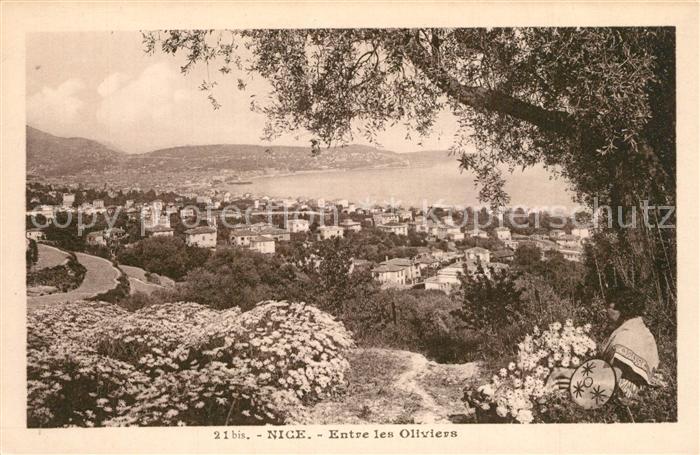 Nice Alpes Maritimes Entree les Oliviers