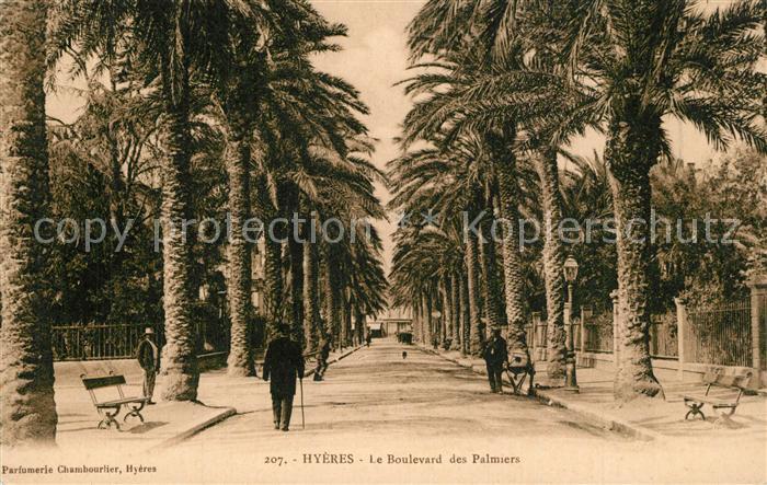Hyeres les Palmiers Le Boulevard des Palmiers