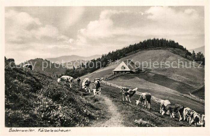 Badenweiler Kaelbelescheuer