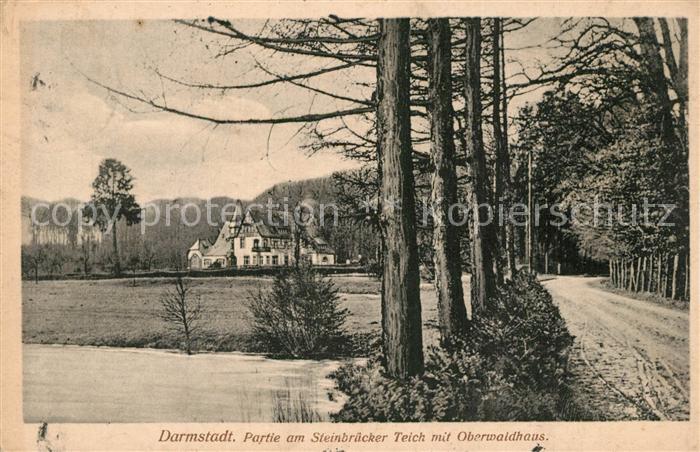 Darmstadt Partie am Steinbruecker Teich mit Oberwaldhaus