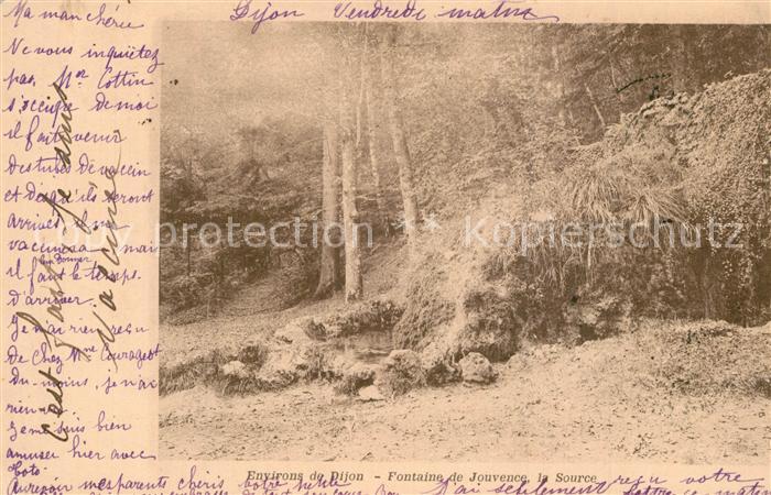 Dijon 21 Fontaine de Jouvence la Source