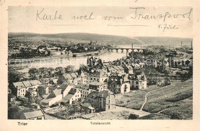 Trier Totalansicht