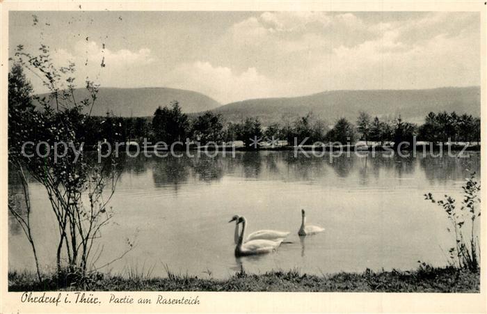Ohrdruf Partie am Rasenteich Schwaene