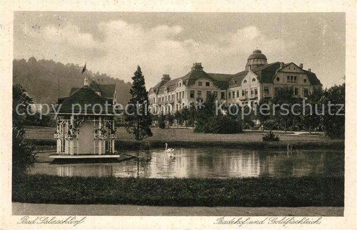 Bad Salzschlirf Badehof und Goldfischteich