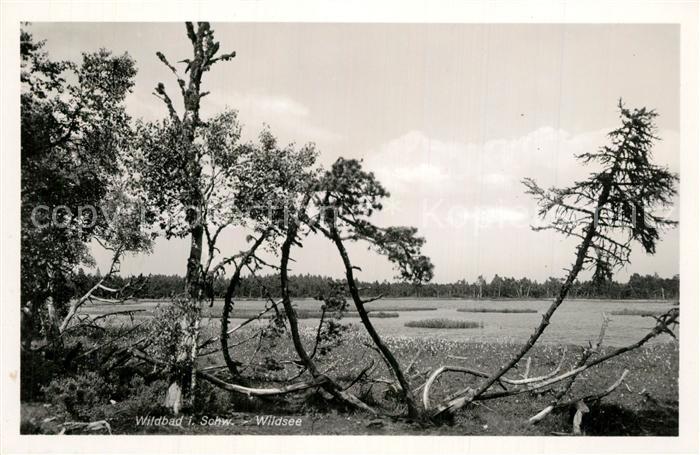 Wildbad Schwarzwald Landschaftspanorama Wildsee