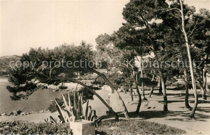 Carqueiranne Les Pins penchés aux Salettes Côte d_Az