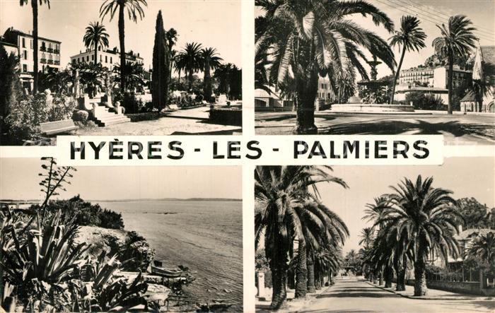 Hyeres les Palmiers Souvenir de la ville vues d ensemble des palmiers Côte d'Azu