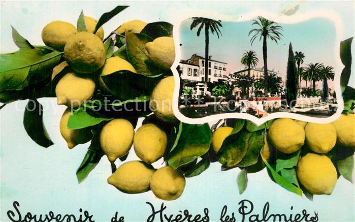 Hyeres les Palmiers Souvenir de la ville Citrons